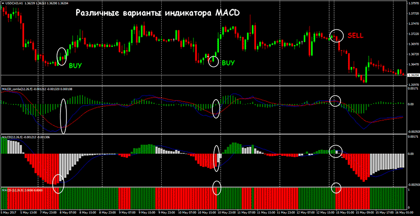 divergence-indicator-macd.png