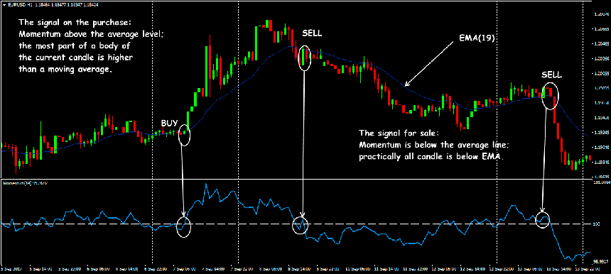 forex-momentum4.png